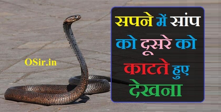 सपने में सांप को दूसरे को काटते हुए देखना