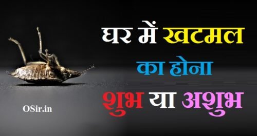 घर में खटमल का होना शुभ या अशुभ,, घर में खटमल होना शुभ या अशुभ,, घर में खटमल होना शुभ है या अशुभ,, खटमल से छुटकारा पाने के उपाय,, खटमल से छुटकारा पाने के घरेलू उपाय,, खटमल से छुटकारा पाने का उपाय,, khatmal se chutkara pane ka tarika,, khatmal se chutkara,, khatmal se chutkara kaise paye,, khatmal se chutkara kaise payen,, khatmal ke gharelu upay,, खटमल से छुटकारा पाने का तरीका,, khatmal ka english,, how to get rid of khatmal in hindi,, khatmal se chutkara pane ke upay,, खटमल से छुटकारा पाने के लिए,, खटमल से छुटकारा पाने का इलाज,, खटमल से छुटकारा पाने के घरेलु नुस्खे,, khatmal se kaise chutkara paye,, how to check khatmal in bed,, best spray for khatmal,, best khatmal killer spray,, khatmal killer spray price,, how to stop khatmal,, how to get rid of khatmal,, how to deal with khatmal,, ghar me khatmal ka hona shubh ya ashubh,, ghar me khatmal hona shubh ya ashubh,, khatmal ka hona shubh ya ashubh,, ghar mein mirchi ka paudha lagana shubh hai ya ashubh,, ghar me khatmal ka hona,, खटमल भगाने का मंत्र,, घर में खटमल क्यों होते हैं,, खटमल भगाने का उपाय,, खटमल के काटने से नुकसान,, खटमल मारने की अंग्रेजी दवा,, खटमल मारने का स्प्रे Price,, खटमल से परेशान,, खटमल भगाने का तरीका,, खटमल से परेशान,, खटमल मारने का स्प्रे,, घर में खटमल का होना शुभ या अशुभ,, खटमल की आयु,, खटमल क्यों होते है,, खटमल मारने का स्प्रे online,, खटमल मारने की अंग्रेजी दवा,,