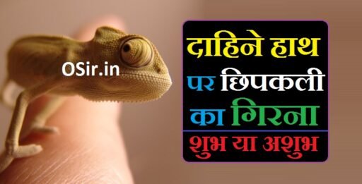 दाहिने हाथ पर छिपकली का गिरना | Dahine hath par chipkali ka girna