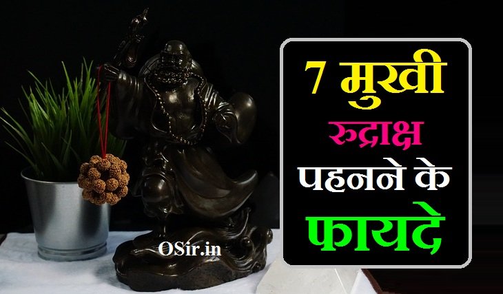 7 मुखी रुद्राक्ष के फायदे,, 7 Mukhi Rudraksh pahnane ke fayde,, सात मुखी रुद्राक्ष क्या है ,, Mukhi Rudraksha kya hai,, 7 मुखी रुद्राक्ष का महत्व ,, 7 Mukhi Rudraksh ka mahatva ,, सात मुखी रुद्राक्ष का प्रयोग कैसे करें ,, 7 Mukhi Rudraksha ka prayog kaise karen,, 7 मुखी रुद्राक्ष धारण करने की विधि ,, 7 Mukhi Rudraksha dharan karne ki vidhi,, सात मुखी रुद्राक्ष कैसे पहनना चाहिए ,, 7 Mukhi Rudraksha Kaise pahna chahiye ,, 7 मुखी रुद्राक्ष के फायदे,, ,,