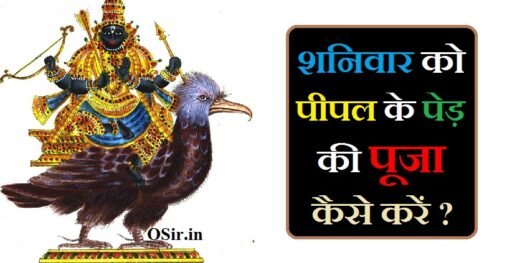 शनिवार को पीपल के पेड़ की पूजा कैसे करें, शनिवार के दिन पीपल के पेड़ की पूजा कैसे करें, शनिवार के दिन पीपल के वृक्ष की पूजा करने का मंत्र, शनिवार के दिन पीपल के पेड़ की पूजा करने के फायदे, शनिवार को पीपल के पेड़ के ये उपाय, पीपल के पेड़ की पूजा कैसे करें, शनिवार को पीपल के पेड़ की पूजा कैसे करें, पीपल पेड़ की पूजा कैसे करें, पीपल का पेड़ की पूजा कैसे करें, पीपल का पेड़ का पूजा कैसे करें, शनिवार के दिन पीपल के पेड़ की पूजा कैसे करें, शनिवार को पीपल के पेड़ के ये उपाय, शनिवार को पीपल में जल कब चढ़ाना चाहिए, शनिवार को पीपल पर जल कब चढ़ाना चाहिए, शनिवार के दिन पीपल में जल कब चढ़ाना चाहिए, शनिवार के दिन पीपल पर जल कब चढ़ाना चाहिए, shaniwar ko pipal mein jal kab dena chahiye, Shaniwar ko Pipal Ke ped ke upay, Shaniwar ke din Pipal Ke ped ki Puja karne ke fayde, Shaniwar ke din Pipal Ke vruksh ki Puja karne ka Mantra , Shaniwar ko Pipal Ke ped ki Puja kaise karen, pipal ka ped ko english mein kya bolate hain,