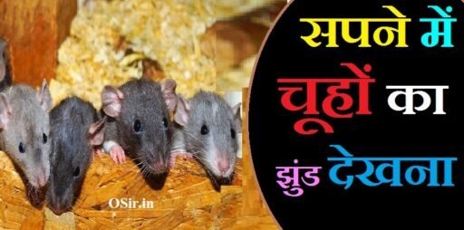 सपने में चूहों का झुंड देखना, सपने में चूहा का झुंड देखना, सपने में चूहा देखने का मतलब, सपने में चूहा और बिल्ली देखना, सपने में चूहा का बच्चा देखना, sapne mein chuha ka jhund dekhna, सपने में चूहा देखने का मतलब क्या होता है, सपने में चूहा देखने का क्या मतलब है, Sapne mein chuho ka jhund dekhna, sapne me chuha ka jhund dekhna, sapne mein chuhe ka dekhna kaisa hota hai, sapne me chuha dekhne ka matlab, sapne mein bahut sare chuhe dekhna kaisa hota hai, sapne me safed chuha dekhne ka matlab, सपने में चूहे देखने का मतलब, sapne mein chuha dekhne ka matlab kya hota hai, sapne mein chuha dekhne ka matlab kya hai, सपने में चूहे देखने का मतलब क्या होता है, सपने में काले रंग का चूहा देखना, सपने में काले चूहे देखना, सपने में काला चूहा देखना, सपने में काला चूहा देखने से क्या होता है, सपने में काले रंग का आदमी देखना, सपने में काले रंग के कपड़े देखना, सपने में चूहों का झुंड देखना शुभ होता है या अशुभ, सपने में पिंजरे में बंद चूहे को देखना , Sapne mein pinjre mein band chuhe ko dekhna, चूहा किसका प्रतीक होता है , Chuha kiska Pratik hota hai , सपने में चूहे का काटना , Sapne mein chuhe ka katna,