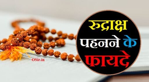 benefits of rudraksha, benefits of rudraksha mala, benefits of rudraksha wearing, benefits of rudraksha isha, रुद्राक्ष क्या होता है, रुद्राक्ष पहनने के नियम, रुद्राक्ष कौन पहन सकता है, राशि के अनुसार रुद्राक्ष, रुद्राक्ष पहनने के फायदे, रुद्राक्ष पहनने के नुकसान, Rudraksh pahnane ke nuksan, Rudraksha Pahanne Ke Fayde, Rashi ke anusar Rudraksh, Rudraksh Kaun pahan sakta hai, Rudraksh pahnane ke Niyam , Rudraksha Kya Hai,