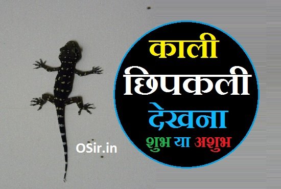 काली छिपकली देखना,, सपने में काली छिपकली देखना,, पूजा घर में काली छिपकली का दिखना,, दो काली छिपकलियों को आपस में लड़ते हुए देखना,, मरी हुई काली छिपकली देखना,, काली छिपकली देखना शुभ या अशुभ ,, काली छिपकली देखने का क्या मतलब होता है ,, Kali chipkali dekhna,, Sapne me kali chipkali dekhna,, Puja ghar me kali chipkali ka dikhna,, Do kali chipkaliyo ko aapas me ladte hue dekhna,, Mri hui kali chipkali dekhna,, kali chipkali dekhne ka kya matlab hota hai ,, kali chipkali ,, kali chipkali dekhna shubh ya ashubh,,