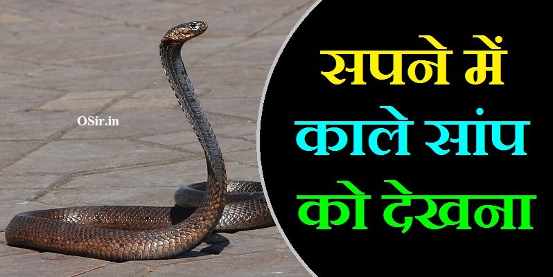 सपने में काले सांप को देखना, सपने में काले सांप को भागते हुए देखना, सपने में सांप को बैठे हुए देखना, सपने में सफेद सांप देखना कैसा होता है, Sapne mein safed saanp dekhna kaisa hota hai , सपने में सांप को बच्चे देते देखना, सपने में सांप को देखना काटते हुए, सपने में सांप को देखकर डर जाना, सपने में सांप को मारना , Sapne mein saanp ko marna, सपने में सांप का काटना कैसा होता है , Sapne mein saanp ka katna kaisa hota hai , सपने में सफेद सांप को देखना क्या होता है, सपने में काले सांप को पानी में तैरते हुए देखना, सपने में मरा हुआ सांप देखना कैसा होता है, Sapne mein mara hua saanp dekhna kaisa hota hai , सपने में सांप को देखना का मतलब, सपने में काला नाग सांप को देखना, सपने में सांप को देखना और काटना, सपने में सांप को देखना और मारना, सपने में सांप को देखना शुभ है या अशुभ, Sapne mein kale saanp ko dekhna, sapne mein kale saap ko marte hue dekhna, sapne mein kale saamp ko dekhne ka kya matlab hai, sapne mein kale rang ka saap dekhna, sapne me kale saap ko marte hue dekhna, ,