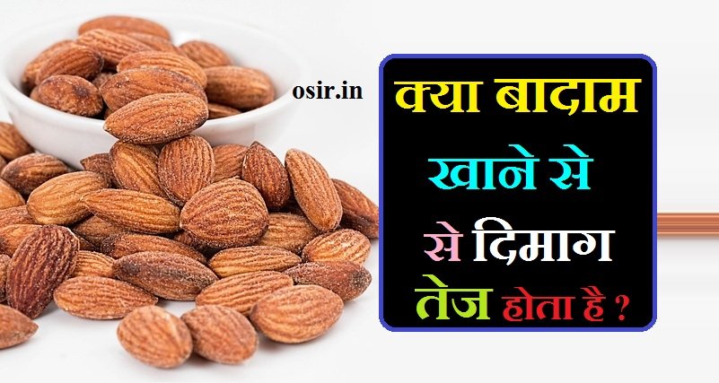 क्या बादाम खाने से दिमाग तेज होता है, कौन सा बादाम खाने से दिमाग तेज होता है, बादाम खाने से दिमाग बढ़ता है, बादाम में पाए जाने वाले पोषक तत्व, बादाम में पोषक तत्वों की मात्रा, बादाम में कौन कौन से पोषक तत्व पाए जाते हैं, बादाम में कौन-कौन से तत्व पाए जाते हैं, बादाम में क्या-क्या पाया जाता है, kya badam khane se dimag tej hota haiya nahi , kya badam khane se dimag tez hota hai, badam mein paye jane wale poshak tatva, badam khane se maind tej hota hai , badam khane se kamjori dur hoti hai ,
