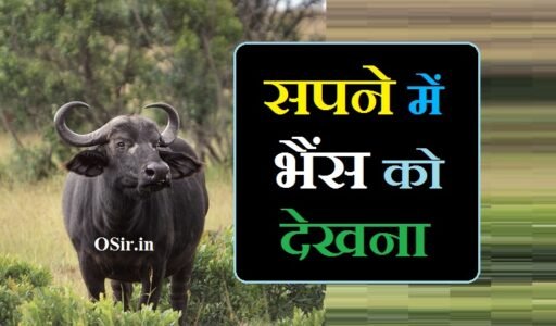 सपने में भैंस देखना