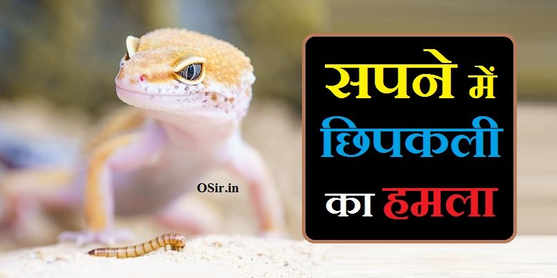 सपने में छिपकली का हमला, सपने में छिपकली का ऊपर गिरना, सपने में छिपकली का शरीर पर चढ़ना, सपने में छिपकली का झुंड देखना, सपने में छिपकली से डरना , Sapne mein chipkali se darna, सपने में छिपकली का शरीर पर गिरना , Sapne mein chipkali ka sharir par girna, सपने में छिपकली का बच्चा देखना, सपने में छिपकली का शरीर पर गिरना, सपने में जमीन पर रेंगती हुई छिपकली देखना , Sapne mein jameen per regati hui chipkali dekhna, सपने में छिपकली का देखना कैसा होता है, सपने में मरी हुई छिपकली देखना , सपने में छिपकली को मारना , सपने में छिपकली का शरीर पर गिरना , Sapne mein chipkali ka sharir par girna, Sapne mein chipkali ko marna, Sapne mein mari hui chipkali dekhna, सपने में छिपकली देखने का मतलब, sapne me chipkali ka hamla karna, सपने में छिपकली का गिरना, सपने में छिपकली मरी हुई देखना, Sapne mein chipkali ka hamla, सपने में छिपकली का जोड़ा देखना, सपने में छिपकली को लड़ते देखना, सपने में छिपकली मारते हुए देखना, सपने में छिपकली का सिर पर गिरना, सपने में अपने ऊपर हमला होते हुए देखना, Sapne mein chipkali ka hamla, sapne mein chipkali ko dekhna, sapne mein chipkali ka katna, sapne mein chipkali dekhna, sapne mein chipkali ka upar girna, sapne mein chipkali ko dekhna hai, ,