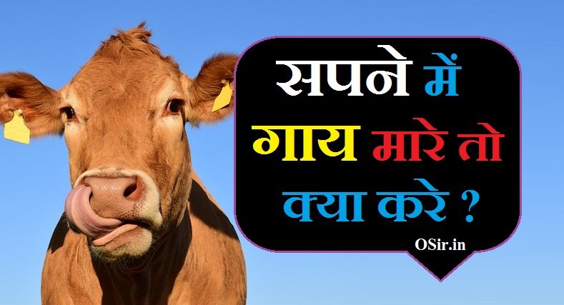 सपने में गाय मारे तो क्या करे | Sapne me gaay mare to kya kare