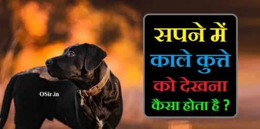 सपने में काले कुत्ते को देखना,, सपने में काले कुत्ते को काटते हुए देखना,, सपने में काले कुत्ते के बच्चे देखना,, सपने में काले कुत्ते का झुंड देखना,, सपने में काले कुत्ते का देखना,, सपने में काला कुत्ता देखना शुभ है या अशुभ,, सपने में काले कुत्ते को रोटी खिलाना,, सपने में मरा हुआ काला कुत्ता दिखाई देना कैसा होता है ,, Sapne mein mara hua kala kutta dikhai dena kaisa hota hai ,, Sapne mein kale kutte ko dekhna,, सपने में काला कुत्ता पालना ,, Sapne mein kala kutta palna,, sapne mein kala kutta ko dekhna,, sapne mein kala kutta ko dekhna kaisa hota hai,, sapne mein kala kutta ke bacche dekhna,, sapne mein kala kutta ko dekhna kya hota hai,, सपने में काले कुत्ते का बच्चा देखना का क्या अर्थ होता है ,, Sapne mein kale kutte ka bacha dekhna ka kya arth hota hai ,, sapne me kala kutta ko dekhna,, सपने में प्रसन्न काला कुत्ता देखना कैसा होता है ,, Sapne mein prasann kala kutta dekhna kaisa hota hai ,, sapne mein kale kutte ko dekhne ka matlab,, ,,