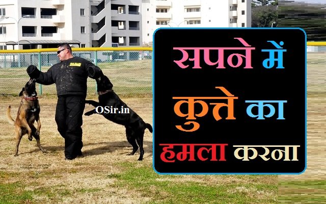 सपने में कुत्ते का हमला करना,, सपने में कुत्ते का आपके पीछे पड़ना,, सपने में कुत्ते का आप पर भौकना,, सपने में कुत्ते का आप पर गुस्सा करना,, सपने में कुत्ते के द्वारा आपका रास्ता रोकना,, सपने में कुत्ते के दांतो से काटना,, सपने में कुत्ते के हाथ के पंजों से हमला करना,, Sapne me kutte ka hamla karna,, Sapne me kutte ka aapke piche padna,, Sapne me kutte ka aap par bhokna,, Sapne me kutte ka aap par gussa karna,, Sapne me kutte ke dwara aapka rasta rokna,, Sapne me kutte ke danto se katna,, Sapne me kutte ke hath ke panjo se hamla karna,, sapne me kutte ko kaatte huye dekhna,,