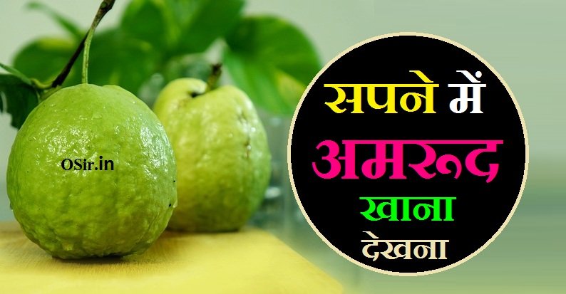 सपने में अमरूद खाना, सपने में पका हुआ अमरूद खाना, सपने में अमरूद तोड़कर खाना कैसा होता है, sapne me amrud khana dekhna, sapne mein amrud khana dekhna, सपने में अमरूद खाते हुए देखना, sapne me amrud khana ka matlab, sapne mein amrud khana kaisa hota hai, सपने में अमरूद का पेड़ देखना, सपने में खुद को अमरूद बेचते हुए देखना, सपने में अमरूद देखना, सपने में अमरूद की सब्जी देखना , सपने में अमरूद का बगीचा देखना, सपने में कटा हुआ अमरूद देखना, Sapne Mein Kata Hua amrud dekhna, Sapne Mein amrud ka Bagicha dekhna, Sapne Mein amrud ki sabji dekhna, Sapne mein amrud dekhna, Sapne Mein Khud Ko Amrut bechate Hue dekhna, Sapne Mein amrud ka ped dekhna, सपने में अमरूद खाते हुए, गर्भावस्था में सपने में अमरूद देखना, गर्भावस्था में अमरूद खाने के फायदे, प्रेगनेंसी में सपने में अमरूद देखना, गर्भावस्था में सपने में आम देखना, गर्भवती महिला सपने में अमरूद देखना, प्रेगनेंसी में अमरूद खाना चाहिए या नहीं,