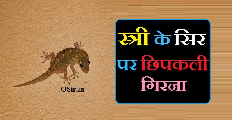 स्त्री के सिर पर छिपकली गिरना,, stri ke sir par chipkali girna,, स्त्री के सिर पर छिपकली गिरने से क्या होता है,, महिला के सिर पर छिपकली गिरने से क्या होता है,, स्त्री के माथे पर छिपकली गिरना,, स्त्री के गर्दन पर छिपकली गिरना,, स्त्री के नाक पर छिपकली गिरना,, स्त्री के होठों पर छिपकली गिरना,, स्त्री के कानों पर छिपकली गिरना,, स्त्री के हाथों पर छिपकली गिरना,, स्त्री के पेट या नाभि पर छिपकली गिरना,, स्त्री के पैर पर छिपकली गिरना,, Stri ke mathe par chipkali girna,, Stri ke gardan par chipkali girna,, Stri ke naak par chipkali girna,, Stri ke hotho par chipkali girna,, Stri ke kaano par chipkali girna,, Stri ke hatho par chipkali girna,, Stri ke pet ya nabi par chipkali girna,, Stri ke pair par chipkali girna,,