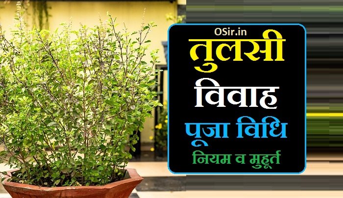 तुलसी विवाह पूजा विधि