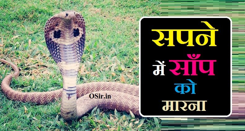 सपने में साँप को मारना, सपने में सांप को मारना क्या होता है, सपने में सांप को मारना शुभ या अशुभ, सपने में सांप को मारना देखना, सपने में सांप को मारना कैसा होता है, सपने में सांप को मारना क्या मतलब होता है, सपने में अजगर सांप को मारना, सपने में हरे सांप को मारना, सपने में सांप को मारना से क्या होता है, सपने में सांप को मार देना, सपने में सांप को मारना कैसा है, सपने में सांप को मारना शुभ है या अशुभ, सपने मे साँप देखना, सपने में बहुत से सांप देखना, सपने में सांप का पीछा करना, सपने में सांप का काटना, सपने में सफेद सांप को देखना, सपने में काले सांप को देखना, Sapne Mein Kale saanp ko dekhna, Sapne Mein Safed saanp ko dekhna, Sapne Mein saanp ka katna, Sapne Mein saanp ka Picha karna, Sapne mein bahut se saanp dekhna, Sapne me Saap Dekhna, Sapne me saap ko marna,