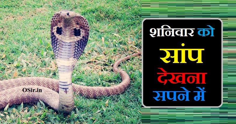 शनिवार को सांप देखना सपने में,, Shanivar Ko saanp dekhna sapne me,, शनिवार को सांप देखना sapne me,, शनिवार को सांप देखना,, शनिवार को सांप देखने से क्या होता है,, शनिवार के दिन सांप देखने से क्या होता है,, सांप को देखने से क्या होता है,, सपने में सांप को देखने से क्या होता है,, शनिवार के दिन सांप देखना,, शनिवार के दिन घर में साँप दिखने पर क्या करें,, शनिवार के दिन पेड़ पर चढ़ते हुए सांप देखना,, सपने में सांप देखने का मतलब शुभ या अशुभ,, Sapne Mein saanp dekhne ka matlab Shubh ya ashubh,, Shaniwar ke din ped per chadhte Hue saamp dekhna,, Shaniwar ke din ghar mein saanp dekhne per Kya Karen,, सपने में सांप देखने से क्या होता है,, नाग पंचमी के दिन सांप देखने से क्या होता है,, सुबह सुबह सांप को देखने से क्या होता है,, काला सांप देखने से क्या होता है,, सांप की मौसी देखने से क्या होता है,, अचानक सांप देखने से क्या होता है,, सांप की केंचुली देखने से क्या होता है,, सांप के सपने देखने से क्या होता है,, सांप का ख्वाब देखने से क्या होता है,,