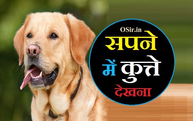सपने में कुत्ते देखना,, सपने में रोते हुए कुत्ते को देखना,, सपने में हंसते खेलते कुत्ते को देखना,, सपने में कुत्ते को उदास बैठा हुआ देखना,, सपने में एक साथ कई सारे कुत्तों को देखना,, सपने में मृत कुत्ते को देखना,, सपने में कुत्ते को सोते हुए देखना,, सपने में कुत्ते को किसी के पीछे भागते हुए देखना,, सपने में कुत्ते को किसी को काटते हुए देखना,, Sapne me kutte dekhna,, Sapne me rote huye kutte ko dekhna,, Sapne me hanste khelte kutte ko dekhna,, Sapne me kutte ko udaas baitha huwa dekhna,, Sapne me ek saath kai sare kutto ko dekhna,, Sapne me mrit kutte ko dekhna,, Sapne me kutte ko sote huye dekhna,, Sapne me kutte ko kisi ke piche bhagte huye dekhna,, Sapne me kutte ko kisi ko kaatte huye dekhna,,