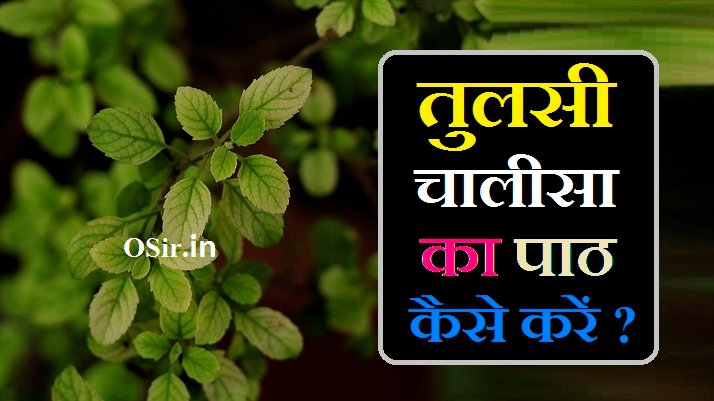 तुलसी चालीसा, तुलसी चालीसा pdf, तुलसी चालीसा lyrics, तुलसी चालीसा और आरती, तुलसी चालीसा अर्थ सहित, तुलसी चालीसा सुनाएं, तुलसी चालीसा hindi, tulsi chalisa aarti, tulsi chalisa benefits, तुलसी चालीसा लिरिक्स, tulsi chalisa pdf download, तुलसी चालीसा सुनाइए तुलसी चालीसा, श्री तुलसी चालीसा का पाठ, श्री तुलसी चालीसा पाठ, तुलसी विवाह चालीसा, tulsi chalisa ke fayde, tulsi chalisa hindi, tulsi chalisa in hindi, tulsi chalisa lyrics in english, तुलसी चालीसा का पाठ कब करना चाहिए, तुलसी पूजा करना क्यों अच्छा माना गया है, तुलसी चालीसा का पाठ कैसे करें, तुलसी चालीसा पाठ के लाभ, मां तुलसी के कुछ प्रिय मंत्र, तुलसी माता की आरती, Tulsi Mata ki aarti, Man Tulsi Ke Kuch Priya Mantra, Tulsi Chalisa path ke labh, Tulsi Chalisa ka path kaise kare, Tulsi Puja karna Kyun Acha Mana gaya hai, Tulsi Chalisa ka path kab karna chahiye,