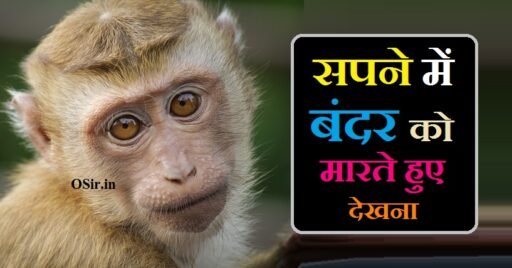 सपने में बंदर को मारते हुए देखना, सपने में बंदर को मारना कैसा होता है, सपने में बंदर को भागते हुए देखना, सपने में बंदर को देखना क्या होता है, सपने में बन्दर को मरते हुए देखना, सपने में बंदर को खाते हुए देखना, सपने में बंदर को काटते हुए देखना, सपने में खुद को भागते हुए देखना कैसा होता है, सपने में अपने आप को भागते हुए देखना, सपने में खुद को भागते हुए देखने का क्या मतलब, सपने में बंदर को देखना क्या होता है, सपने में बंदर को हंसते हुए देखना, सपने में बंदर को कुछ खाते हुए देखने का मतलब, सपने में बंदर को मारना कैसा होता है, सपने मे खुद को बंदर के रूप मे देखना, सपने मे बंदर को काटते हुए देखना, सपने मे बंदर को गले लगाना, Sapne Mein Bandar ko Gale Lagna, Sapne Mein Bandar ko Katate Hue dekhna, Sapne Mein Khud Ko bandar ke roop mein dekhna, Sapne mein bandar ko mardana kaisa hota hai, Sapne Mein Bandar ko Kuch khate Hue dekhne ka matlab, Sapne Mein Bandar ko Hanste Hue dekhna, Sapne Mein Bandar ko marte Hue dekhna, Sapne Mein Bandar ko dekhna Kya Hota Hai,