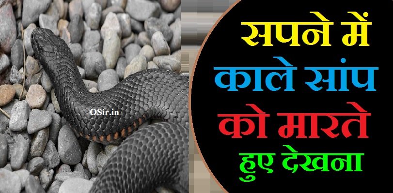 सपने में सांपों का झुंड देखना , Sapne mein saanp ka jhund dekhna, सपने में भूरे रंग का सांप देखना , Sapne mein bhure rang ka saanp dekhna, सपने में सांप का काटना , Sapne mein saanp ka katna, सपने में सांप को भागते हुए देखना , Sapne mein saanp ko bhagte hue dekhna, सपने में काले सांप को मारते हुए देखना, सपने में सांप को मारते हुए देखने का मतलब, सपने में सांप को मारते हुए देखना क्या होता है, सपने में सांप को मारते हुए देखना, Sapne mein kale saanp ko marte hue dekhna, sapne mein kale saap ko marte hue dekhna, saap ko marte hue dekhna sapne me, सपने में सांप को देखने का मतलब क्या होता है, सपने में सांप को मारते हुए देखना शुभ या अशुभ, सपने में सांप को मारते हुए देखना है, सपने में सांप मारते हुए देखना, सपने में काला सांप को मारते हुए देखना,