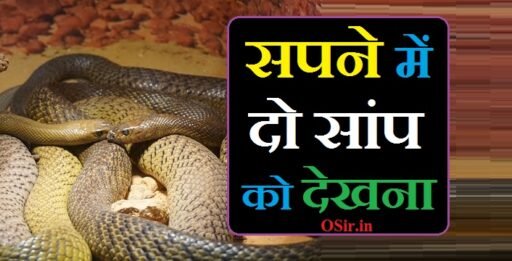 सपने में दो सांप को देखना | Sapne me do saap ko dekhna