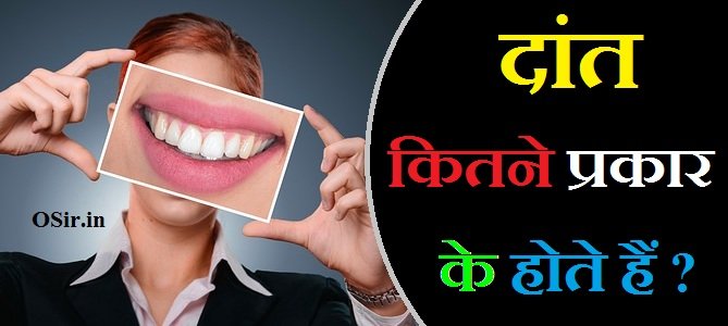 dant kitne prakar ke hote hain, dant kitne prakar ke hote hain aur kaun kaun se, dant kitne prakar ke hote hain naam, चवृणक दांत का कार्य क्या है , dant kitne prakar ke hote hain aur unke naam, dant kitne prakar ke hote hain bataiye, dant kitne prakar ke hote hain kaun kaun se, रदनक/भेदक दांत का कार्य क्या है , dant kitne prakar ke hote hain naam likhiye, dant kitne prakar ke hote hain hindi mein, dant kitne prakar ke hote hain in hindi, अग्रचवर्णक दांत का कार्य क्या है , dant kitne prakar ke hote hain unke naam likhen, dant kitne prakar ke hote hain english mein, दांत कितने प्रकार के होते हैं, manushya ke dant kitne prakar ke hote hain, दांत कितने प्रकार के होते हैं कौन-कौन से, कृन्तक छेदक दांत का कार्य क्या है , दांत किस पदार्थ के बने होते हैं , Dant kis padarth ke bane hote hai , दांतों को नुकसान पहुंचाने वाले कारण कौन से होते हैं , Danto ko nuksaan pahuchane wale karan kaun se hote hain , ,