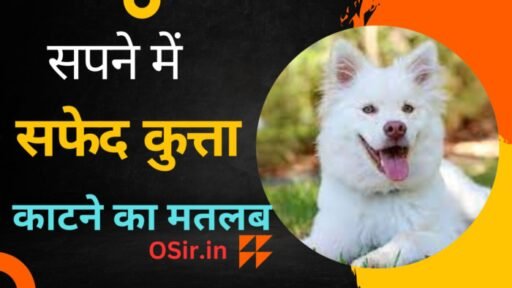 सपने में किसी महिला को रोते हुए देखना, सपने में महिला को रोते हुए देखना, सपने में किसी स्त्री को रोते हुए देखना, सपने में किसी को रोते हुए देखना कैसा होता है, सपने में किसी को रोते हुए देखना क्या होता है, सपने में स्त्री को रोते हुए देखना, सपने में औरतों को रोते हुए देखना, सपने में पत्नी को रोते हुए देखना, घूंघट में स्त्री को देखना, सपने मे बीमार महिला को देखना, सपने में नृत्य करती हुई महिला को देखना, सपने में महिला को शादी के जोड़े में देखना, सपने में मृत महिला को देखना, सपने में विधवा महिला को देखना, सपने में एक साथ कई महिलाओं को देखना, सपने में बूढ़ी महिला को देखना, सपने में गर्भवती महिला को देखना, सपने में अपनी महिला को किसी के साथ भागते हुए देखना , Sapne me kisi mahila ko rote huye dekhna, Ghunghat me istri ko dekhna,