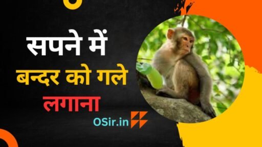 सपने में बन्दर को गले लगाना,, सपने में बन्दर को मरते हुए देखना,, सपने में बंदर को अपने घर पर कुछ खाते हुए देखना,, सपने में बंदर को काटते हुए देखना,, सपने में रोते हुए बंदर को देखना,, सपने में मरे हुए बंदर को देखना,, सपने में कई सारे बंदरों को एक साथ देखना,, सपने में लाल बंदर को देखना,, सपने में बंदर का बच्चा देखना,, सपने में बंदर को गुस्से में देखना,, सपने में बंदर को भागते हुए देखना,, सपने में बंदर को सोते हुए देखना,, Sapne me bandar ko gale lagana,, Sapne me bandar ko apne ghar par kuch khate hue dekhna,, Sapne me bandar ko kaat te hue dekhna,, Sapne me rote hue bandar ko dekhna,, Sapne me mre hue bandar ko dekhna,, Sapne me kai sare bandaro ko ek saath dekhna,, Sapne me lal bandar ko dekhna,, Sapne me bandar ka bacha dekhna,, Sapne me bandar ko gusse me dekhna,, Sapne me bandar ko bhagte hue dekhna,, Sapne me bandar ko sote hue dekhna,,