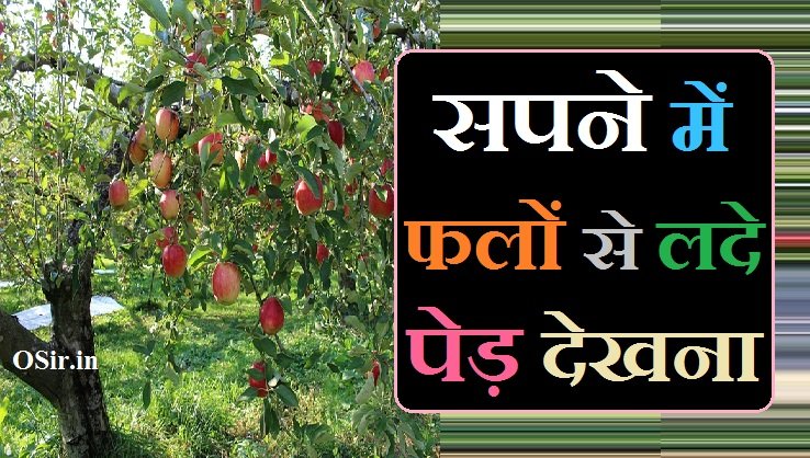 सपने में फलों से लदे पेड़ देखना,, सपने में फल से लदे पेड़ देखना,, sapne me fal se lada ped dekhna,, sapne me fal lage ped dekhna,, sapne me falo se lada ped dekhna,, सपने में फलों का बगीचा देखना,, सपने में कई प्रकार के फलों के पेड़ देखना,, सपने में फलों को पेड़ से गिरते हुए देखना,, सपने में फल से लदे पेड़ को काटते हुए देखना,, सपने में पेड़ पर चढ़कर फल तोड़ना,, सपने में फल से लदे पेड़ को अपने आप गिरते हुए देखना,, सपने में फलों के पौधे लगाना,, Sapne me falo se lade pedh dekhna,, sapne me ped par fal dekhna ,, Sapne me ped par chadkar fal todna,,
