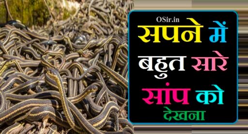 Sapne me bahut sare saanp ko dekhna,, sapne me bahut sare saap dekhna,, सपने में बहुत सारे सांप को देखना,, sapne mein bahut sare saap ko dekhna,, sapne mein bahut sare safed saap dekhna,, sapne me bahut sare saap dekhna in hindi,, sapne me bahut sare safed saap dekhna,, sapne mein bahut sare saap dekhna kya hota hai,, bahut sare saap dekhna sapne mein,, bahut sare saap dekhna,, सपने में ढेर सारे सांप को देखना,, सपने में बहुत सारे काले सांप को देखना,, सपने में बहुत सारे सांप को एक-दूसरे के साथ खेलते हुए देखना,, सपने में बहुत सारे सांपों को एक साथ बैठे हुए देखना,, सपने में बहुत सारे सांपों को डसते हुए देखना,,