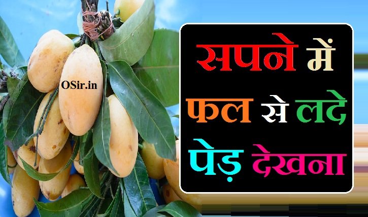 सपने में फल से लदे पेड़ देखना,, सपने में फलों से लदे पेड़ देखना,, sapne me fal se lada ped dekhna,, सपने में आम के फल से लदा पेड़ देखना,, सपने में जामुन के फल से लदा पेड़ देखना,, सपने में इमली से लदा हुआ पेड़ देखना,, सपने में लीची के फल से लदा हुआ पेड़ देखना,, सपने में पपीते के फल से लदा हुआ पेड़ देखना,, सपने में बेर के फल से लदा हुआ पेड़ देखना,, सपने में तरबूज फल से लदा हुआ पेड़ देखना,, सपने में खरबूजे के फल से लदा हुआ पेड़ देखना,, Sapne me aam ke fal se lada ped dekhna,, Sapne me jamun ke fal se lada ped dekhna,, Sapne me imli se lada hua ped dekhna,, Sapne me lichi ke fal se lada hua ped dekhna,,