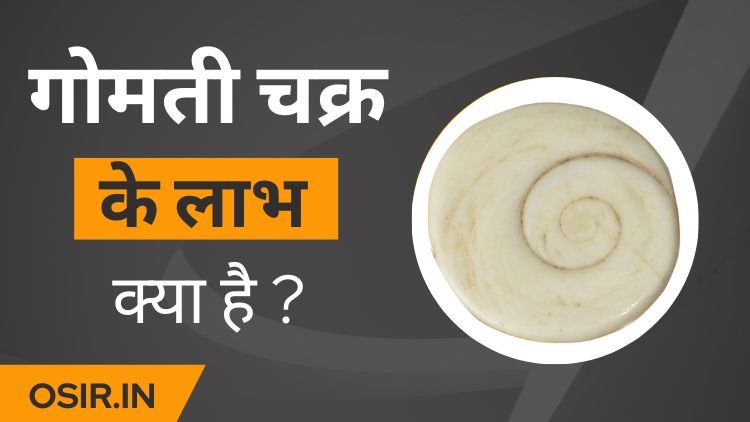 Gomti chakra benefits, gomti chakra benefits in hindi, gomti chakra benefits in gujarati, gomti chakra benefits hindi, gomti chakra benefits , गोमती चक्र के लाभ, gomti chakra benefits, गोमती चक्र धारण कैसे करें , Gomti chakra dharan kaise kare , side effects of gomti chakra, gomti chakra use, benefits of gomti chakra, गोमती चक्र के लाभ, गोमती चक्र के फायदे, gomti chakra ke labh, गोमती चक्र लाभ, , ,