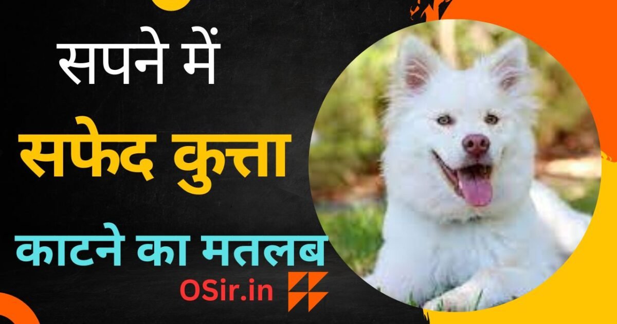 सपने में किसी महिला को रोते हुए देखना, सपने में महिला को रोते हुए देखना, सपने में किसी स्त्री को रोते हुए देखना, सपने में किसी को रोते हुए देखना कैसा होता है, सपने में किसी को रोते हुए देखना क्या होता है, सपने में स्त्री को रोते हुए देखना, सपने में औरतों को रोते हुए देखना, सपने में पत्नी को रोते हुए देखना, घूंघट में स्त्री को देखना, सपने मे बीमार महिला को देखना, सपने में नृत्य करती हुई महिला को देखना, सपने में महिला को शादी के जोड़े में देखना, सपने में मृत महिला को देखना, सपने में विधवा महिला को देखना, सपने में एक साथ कई महिलाओं को देखना, सपने में बूढ़ी महिला को देखना, सपने में गर्भवती महिला को देखना, सपने में अपनी महिला को किसी के साथ भागते हुए देखना , Sapne me kisi mahila ko rote huye dekhna, Ghunghat me istri ko dekhna,