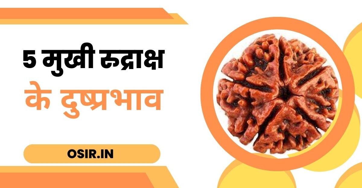 5 mukhi rudraksha side effects, 5 mukhi rudraksha side effects in hindi, 5 mukhi rudraksha negative effects, side effects of wearing 5 mukhi rudraksha, 4 mukhi rudraksha side effects, 5 mukhi rudraksha disadvantages, 5 mukhi rudraksha side effects hindi, effects of 5 mukhi rudraksha, side effects of 5 mukhi rudraksha, 5 mukhi rudraksha quora, 5 mukhi रुद्राक्ष पहनने के फायदे और नुकसान, rudraksha side effects in hindi, 5 मुखी रुद्राक्ष के दुष्प्रभाव, 5 मुखी रुद्राक्ष के नुकसान बताएं, 5 मुखी रुद्राक्ष नुकसान इन हिंदी, 5 मुखी रुद्राक्ष नुकसान, 5 मुखी रुद्राक्ष का नुकसान, 5 मुखी रुद्राक्ष के दुष्प्रभाव, 5 मुखी रुद्राक्ष के नुकसान, रुद्राक्ष के दुष्प्रभाव, 5 मुखी रुद्राक्ष कैसे धारण करें, 5 मुखी रुद्राक्ष का नुकसान, 5 मुखी रुद्राक्ष पहनने के नुकसान, ,