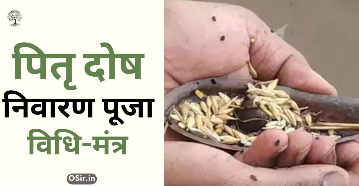 पितृ दोष निवारण मंत्र , pitra dosh nivaran mantra in hindi pdf, सर्व पितृ दोष निवारण मंत्र, पितृ दोष निवारण शाबर मंत्र, पितृ दोष निवारण का मंत्र, pitru dosh nivaran mantra, pitra dosh nivaran mantra benefits, pitra dosh nivaran mantra lyrics, pitra dosh nivaran mantra video, sarva pitra dosh nivaran mantra, पितृ दोष निवारण स्तोत्र, pitra dosh nivaran mantra in hindi, पितृ दोष निवारण यंत्र, पितृ देव स्तोत्र , पितृदोष से मुक्ति दिलाएंगे ये उपाय, पित्र दोष निवारण मंत्र के लाभ, पितृ दोष निवारण मंत्र जाप करने के नियम, पितृ दोष निवारण शिव मंत्र, पितृ दोष निवारण मंत्र, Pitra dosh nivaran Mantra, Pitru Dosh Nivaran Shiv Mantra, Pitra dosh nivaran Mantra Jaap karne ke Niyam, Pitra Dosh nivaran mantra ke labh, Pitra Dosh se Mukti dilane yah upay, Pitra Dev Stotra, ,