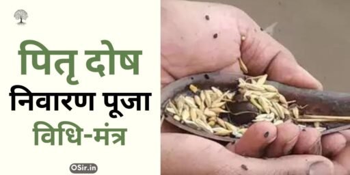 पितृ दोष निवारण मंत्र , pitra dosh nivaran mantra in hindi pdf, सर्व पितृ दोष निवारण मंत्र, पितृ दोष निवारण शाबर मंत्र, पितृ दोष निवारण का मंत्र, pitru dosh nivaran mantra, pitra dosh nivaran mantra benefits, pitra dosh nivaran mantra lyrics, pitra dosh nivaran mantra video, sarva pitra dosh nivaran mantra, पितृ दोष निवारण स्तोत्र, pitra dosh nivaran mantra in hindi, पितृ दोष निवारण यंत्र, पितृ देव स्तोत्र , पितृदोष से मुक्ति दिलाएंगे ये उपाय, पित्र दोष निवारण मंत्र के लाभ, पितृ दोष निवारण मंत्र जाप करने के नियम, पितृ दोष निवारण शिव मंत्र, पितृ दोष निवारण मंत्र, Pitra dosh nivaran Mantra, Pitru Dosh Nivaran Shiv Mantra, Pitra dosh nivaran Mantra Jaap karne ke Niyam, Pitra Dosh nivaran mantra ke labh, Pitra Dosh se Mukti dilane yah upay, Pitra Dev Stotra, ,