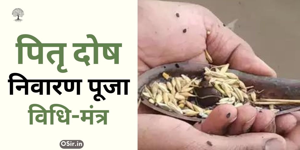 पितृ दोष निवारण मंत्र , pitra dosh nivaran mantra in hindi pdf, सर्व पितृ दोष निवारण मंत्र, पितृ दोष निवारण शाबर मंत्र, पितृ दोष निवारण का मंत्र, pitru dosh nivaran mantra, pitra dosh nivaran mantra benefits, pitra dosh nivaran mantra lyrics, pitra dosh nivaran mantra video, sarva pitra dosh nivaran mantra, पितृ दोष निवारण स्तोत्र, pitra dosh nivaran mantra in hindi, पितृ दोष निवारण यंत्र, पितृ देव स्तोत्र , पितृदोष से मुक्ति दिलाएंगे ये उपाय, पित्र दोष निवारण मंत्र के लाभ, पितृ दोष निवारण मंत्र जाप करने के नियम, पितृ दोष निवारण शिव मंत्र, पितृ दोष निवारण मंत्र, Pitra dosh nivaran Mantra, Pitru Dosh Nivaran Shiv Mantra, Pitra dosh nivaran Mantra Jaap karne ke Niyam, Pitra Dosh nivaran mantra ke labh, Pitra Dosh se Mukti dilane yah upay, Pitra Dev Stotra, ,