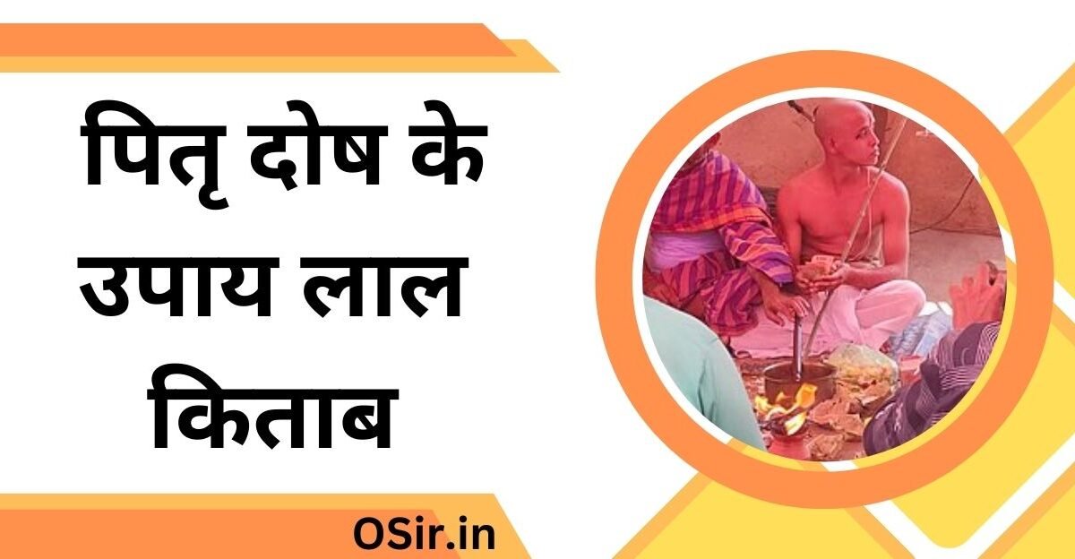 पितृ दोष के उपाय लाल किताब, pitra dosh ke upay lal kitab, लाल किताब के अनुसार पितृ दोष के उपाय, lal kitab upay for pitra dosh in hindi, लाल किताब के टोटके व उपाय c.m. srivastava, pitra dosh upay-lal kitab in hindi, लाल किताब के रामबाण उपाय pdf download, लाल किताब के उपाय pdf,