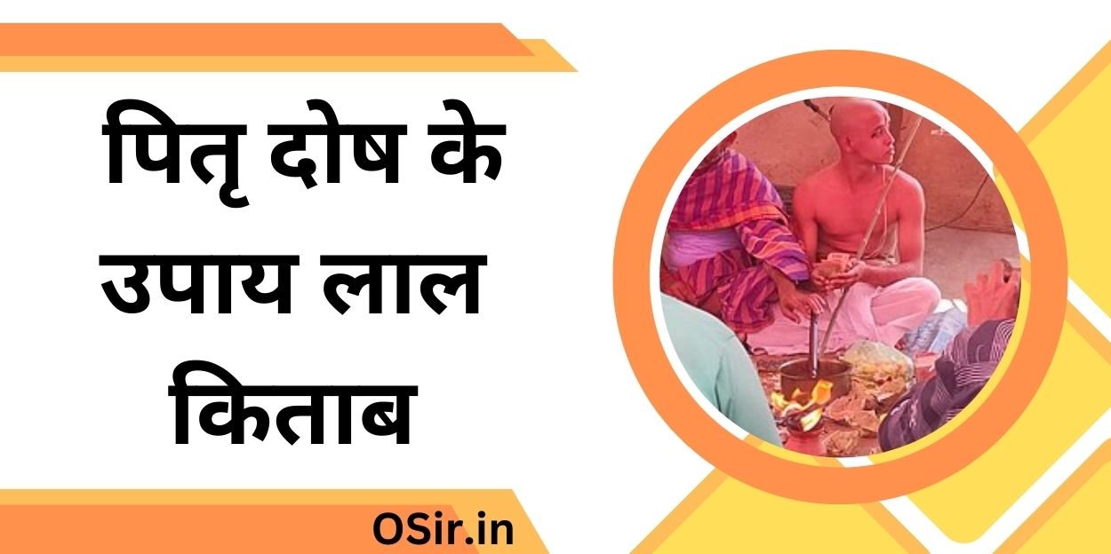 पितृ दोष के उपाय लाल किताब, pitra dosh ke upay lal kitab, लाल किताब के अनुसार पितृ दोष के उपाय, lal kitab upay for pitra dosh in hindi, लाल किताब के टोटके व उपाय c.m. srivastava, pitra dosh upay-lal kitab in hindi, लाल किताब के रामबाण उपाय pdf download, लाल किताब के उपाय pdf,