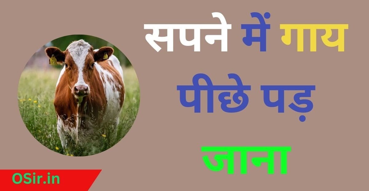 सपने में गाय पीछे पड़ जाना | Sapne me gaay piche pad jana