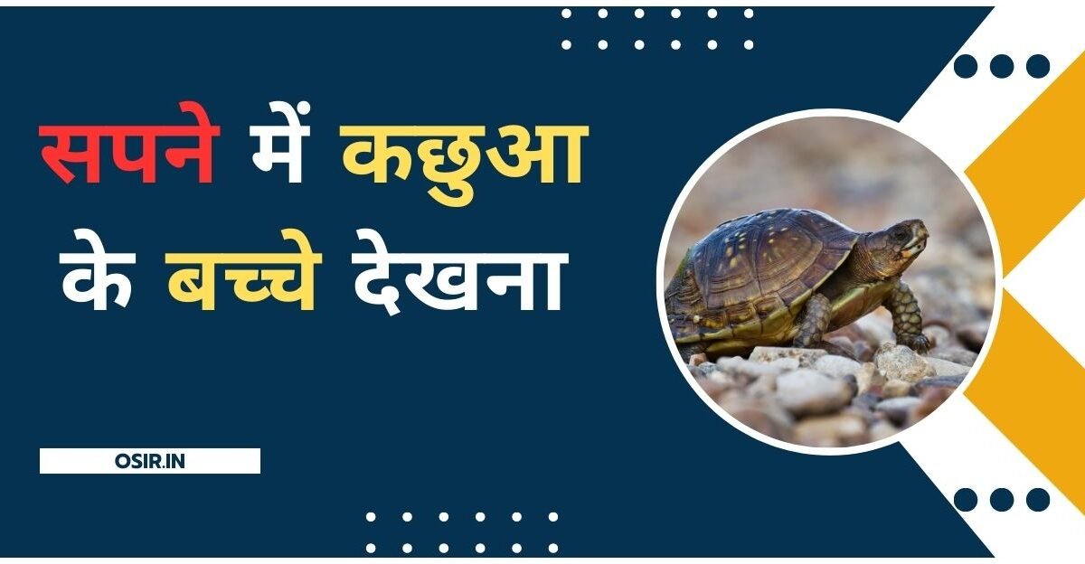 Sapne Mein kachua ka katna, सपने में कछुए का शिकार करना, सपने में कछुआ को देखना, Sapne Mein kachua ko marna, Sapne Mein kachua ke Ande dekhna, सपने में दो कछुए की लड़ाई देखना, kachhua Ki Jodi dekhna, सपने में मरा हुआ कछुआ देखना, सपने में कछुआ के बच्चे देखना , Sapne Mein Kachua ke bacche dekhna,