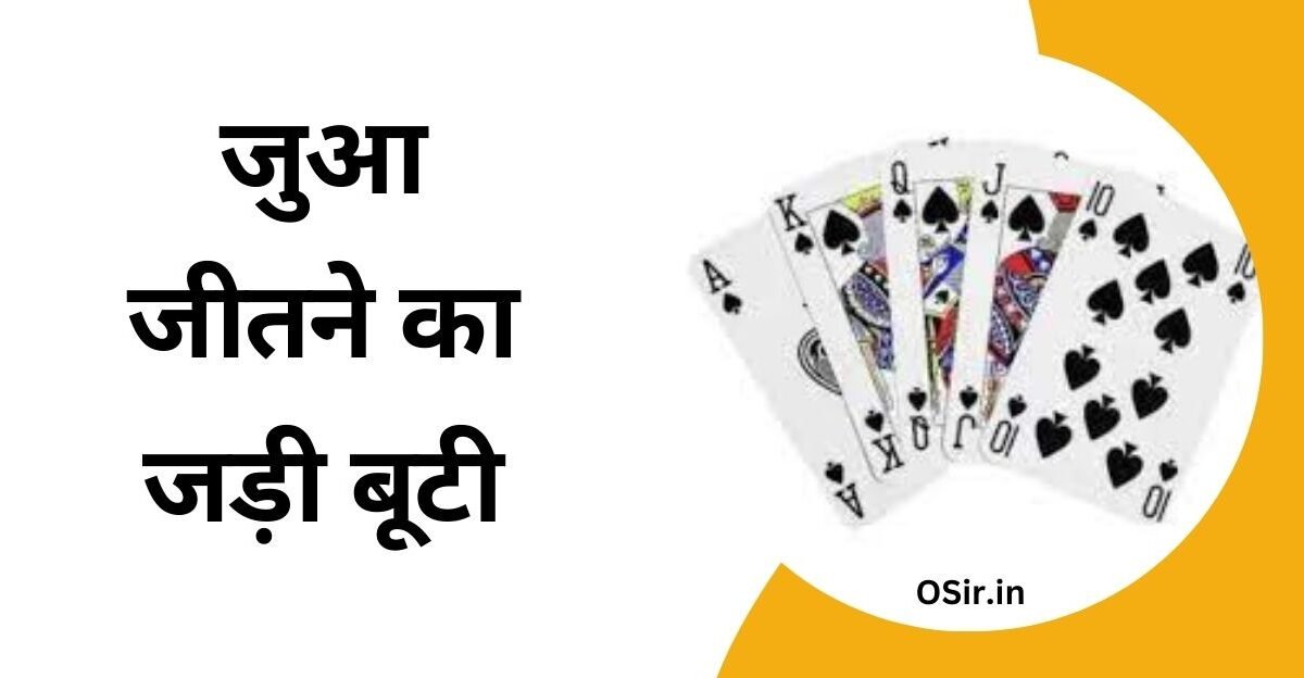 जुआ जीतने का जड़ी बूटी , Jua jeetane ka jadee , लाजवंती के उपयोग से जुआ जीतने का जड़ी बूटी , जुआ जीतने का यंत्र , जुआ जीतने के घरेलू टोटके ,